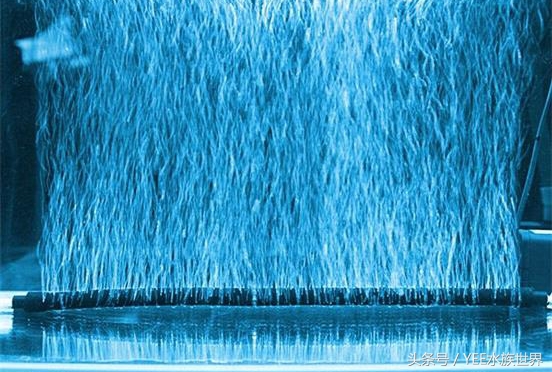 鱼缸生化过滤真的有用吗,鱼缸的生化过滤系统到底有没有用