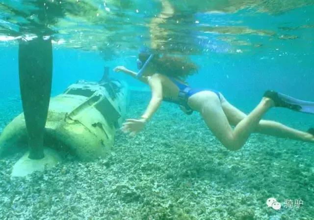 帕劳最新政策消息,帕劳现在怎么样了