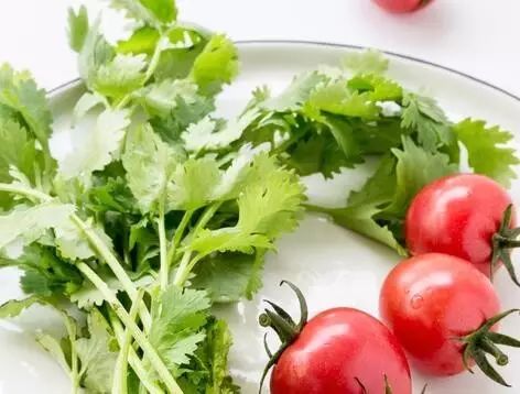 芹菜哪个地方卖最贵,芹菜值钱