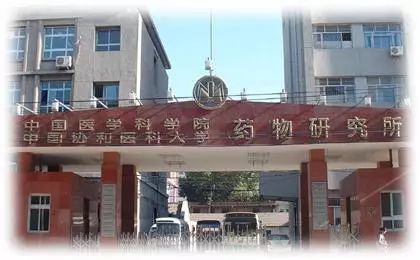 想让美国名校招生官会心一笑？-陆桥教育优质活动大总结5