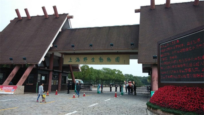 上海野生动物园一日游大概多久,上海野生动物园一日游日记三年级