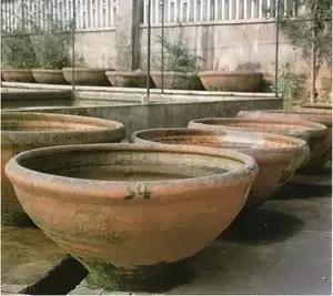 古人夏天如何养鱼,古人养鱼