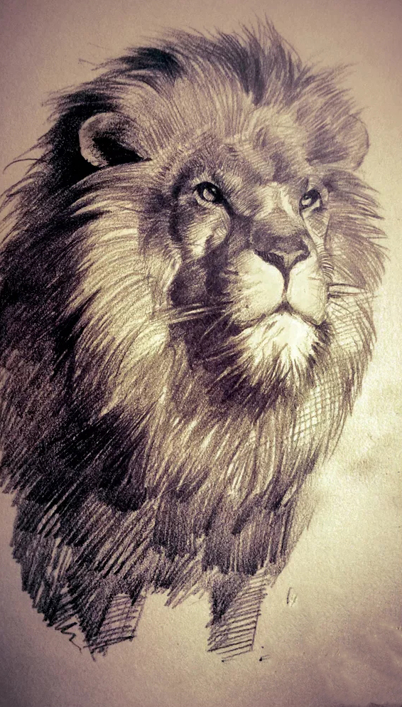 壁纸老虎狮子超霸气超清壁纸,大象老虎狮子谁才是百兽之王