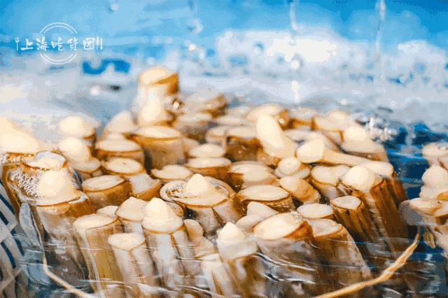 魔都最漂亮的公交,魔都最好吃的小吃一条街