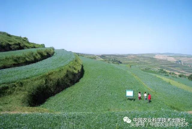 中国农产品地理标志丛书,农产品的地理标志书