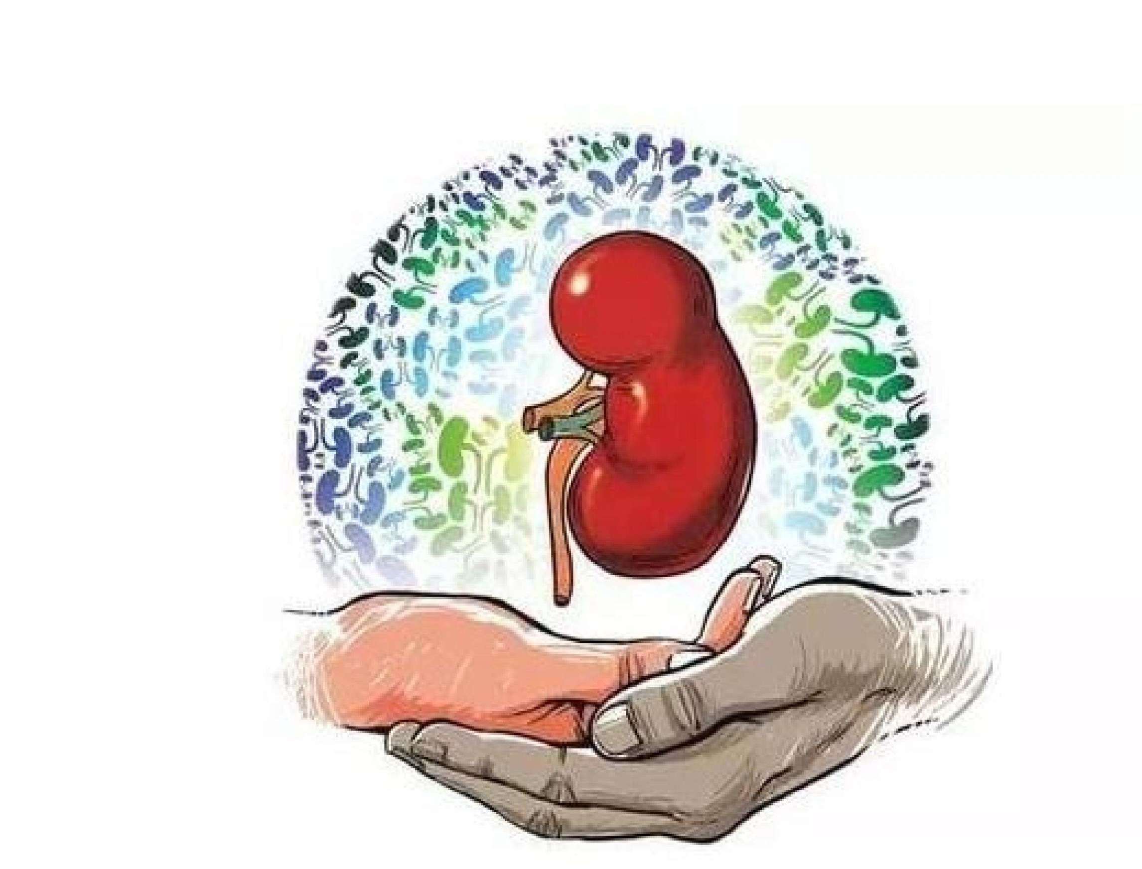 透析为什么会贫血，怎么治疗？