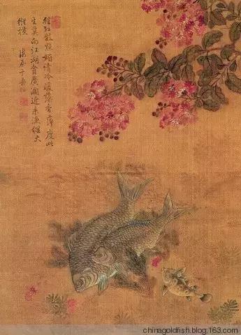 古人夏天如何养鱼,古人养鱼