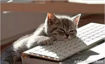 黑眼圈怎么p才自然,没有黑眼圈怎么能p成有黑眼圈呢