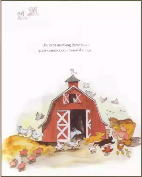 bunnyrabbit绘本,英语绘本小故事bubble