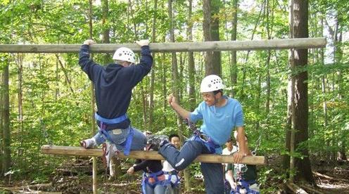 在农村怎样才可以赚到钱？新的一年想发家致富？这些会帮到你！