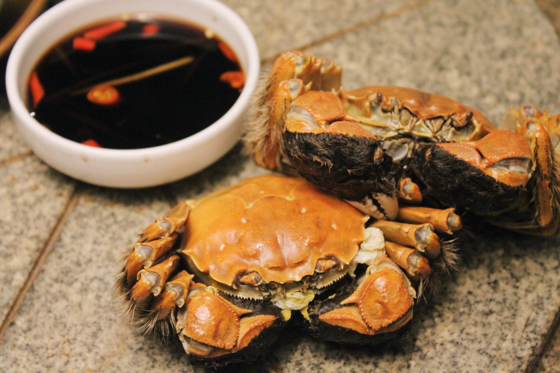 螃蟹冷水下锅还是热水下锅蒸螃蟹,螃蟹冷水下锅还是热水下锅蒸多久