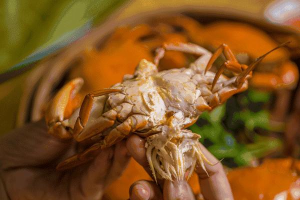 螃蟹冷水下锅还是热水下锅蒸螃蟹,螃蟹冷水下锅还是热水下锅蒸多久