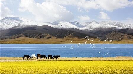 2018年9月18日医疗界大事,2018年4月医疗新闻大事