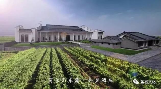 宁夏最值得去的十大红酒酒庄排名,宁夏值得一去的十大酒庄