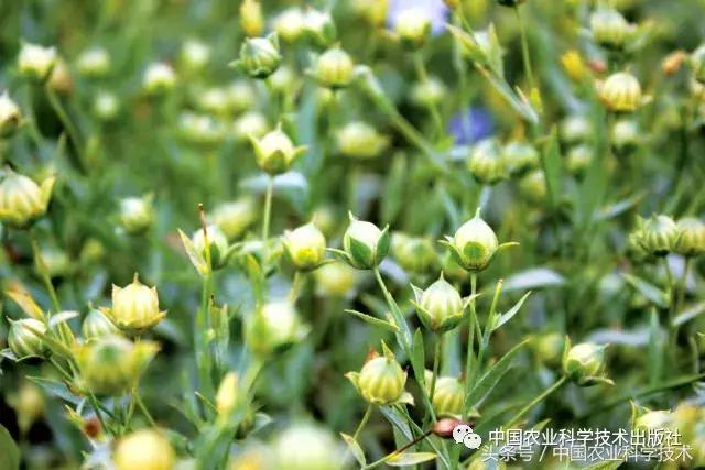 中国农产品地理标志丛书,农产品的地理标志书