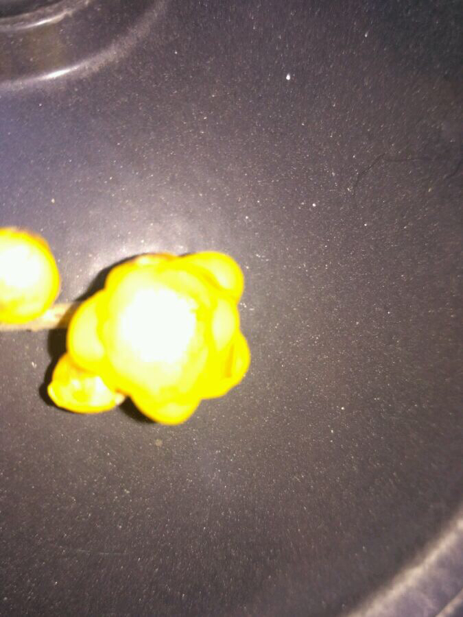 素心腊梅和檀香腊梅哪个比较香,怎么分辨正宗素心腊梅