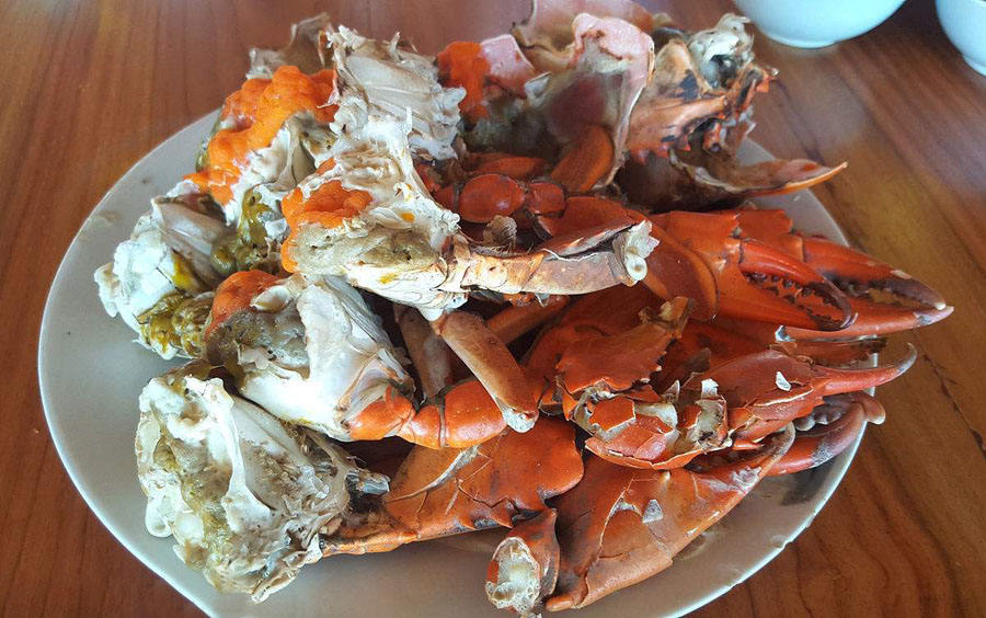 螃蟹冷水下锅还是热水下锅蒸螃蟹,螃蟹冷水下锅还是热水下锅蒸多久