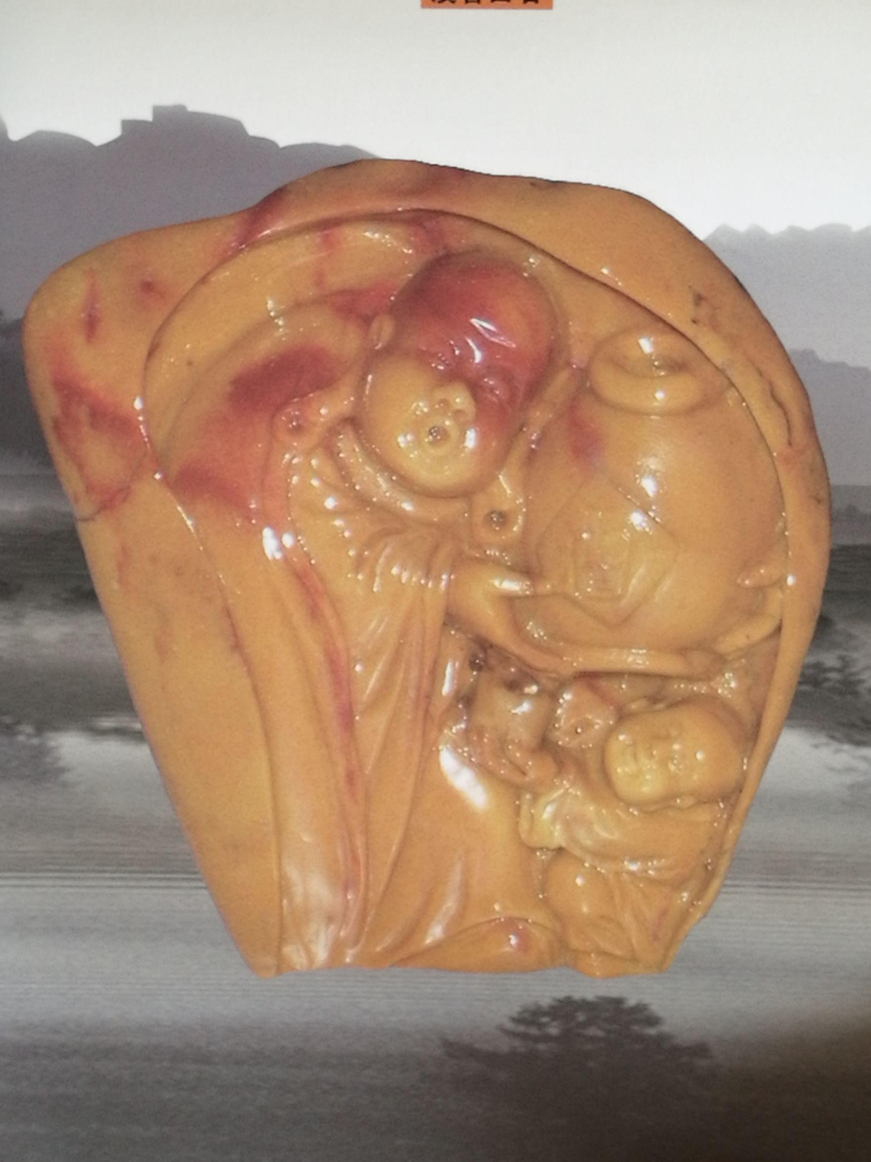 田黄石十大品种,皇帝田黄石品种图片