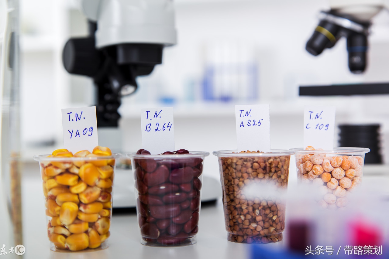 椋熷搧瀹夊叏闅愭偅绛夌骇鍒掑垎,椋熷搧瀹夊叏闅愭偅鏁存敼鎺柦