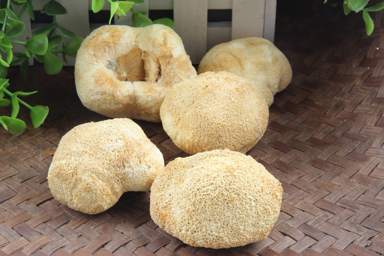 猴头菇适合什么季节煲汤,养生猴头菇怎么吃好吃呢