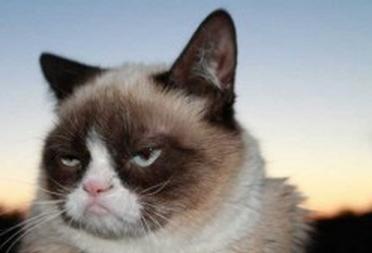 华舆辞典好歌推荐：影响一代人的音乐表情包