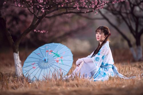 戊戌月各生肖运势,丙戌年十二生肖运势