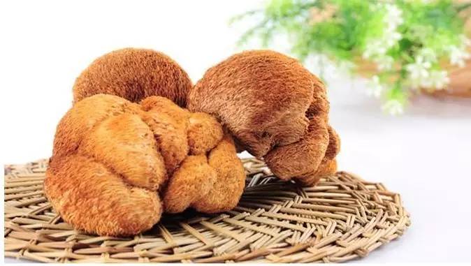 猴头菇适合什么季节煲汤,养生猴头菇怎么吃好吃呢