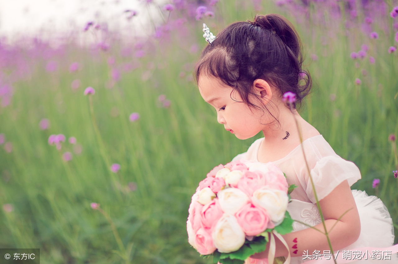 哈士奇和泰迪谁厉害,这是狗被黑得最惨的一次