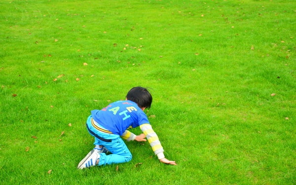 春节到了支个招，让“最熟悉的陌生人”成为你的至亲至爱