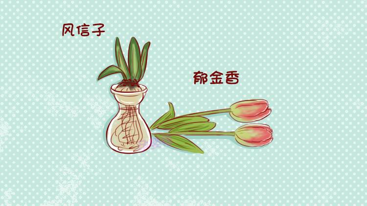 孩子误食玉树叶子怎么办,小朋友误食有毒的植物