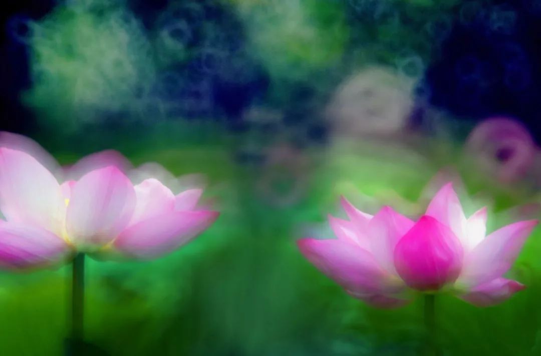 什么是折返镜头图,什么是镜头折返镜