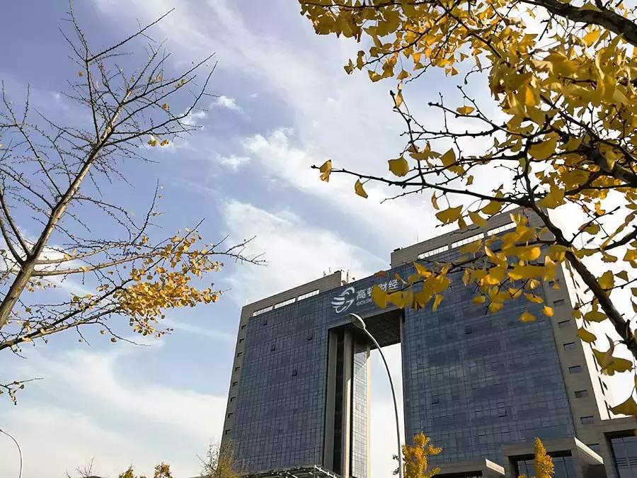 财务女相亲怎么找对象,财务女孩谈婚恋