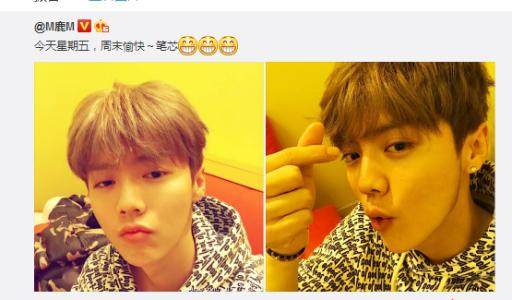 楣挎櫁鍜岃姦鑻囩殑涓冨勾涔嬬害,鑺﹁媷鍜岄箍鏅楃殑缁忓巻