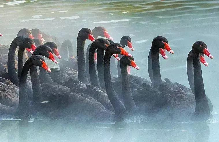 现在去广州长隆度假区旅游攻略,史上最全广州长隆度假区旅游攻略