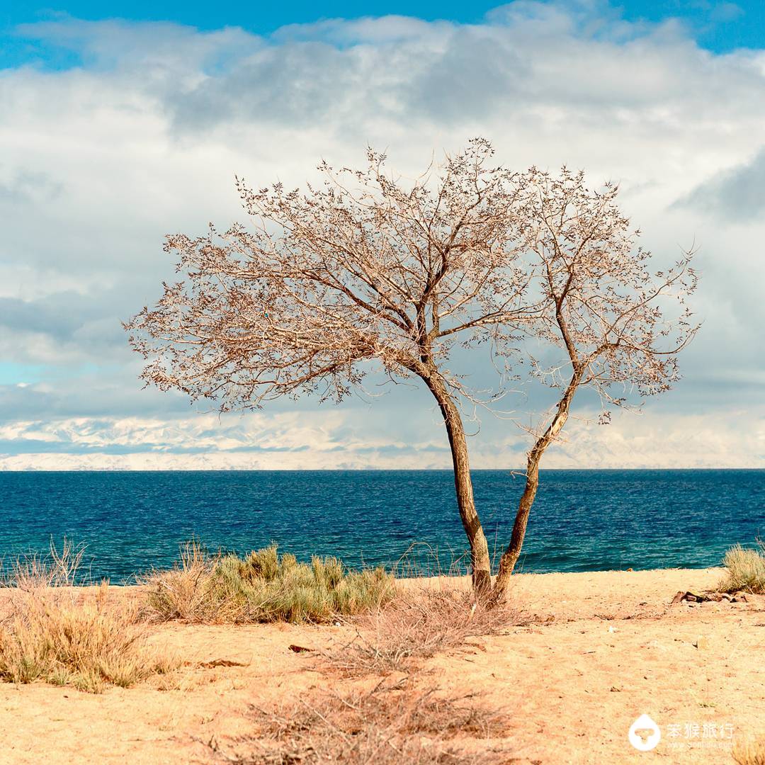 这里曾是中国领土，被誉为「中亚瑞士」，游客3天拿到电子签