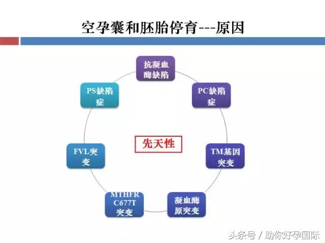 助你好孕的方法,助你恢复好孕
