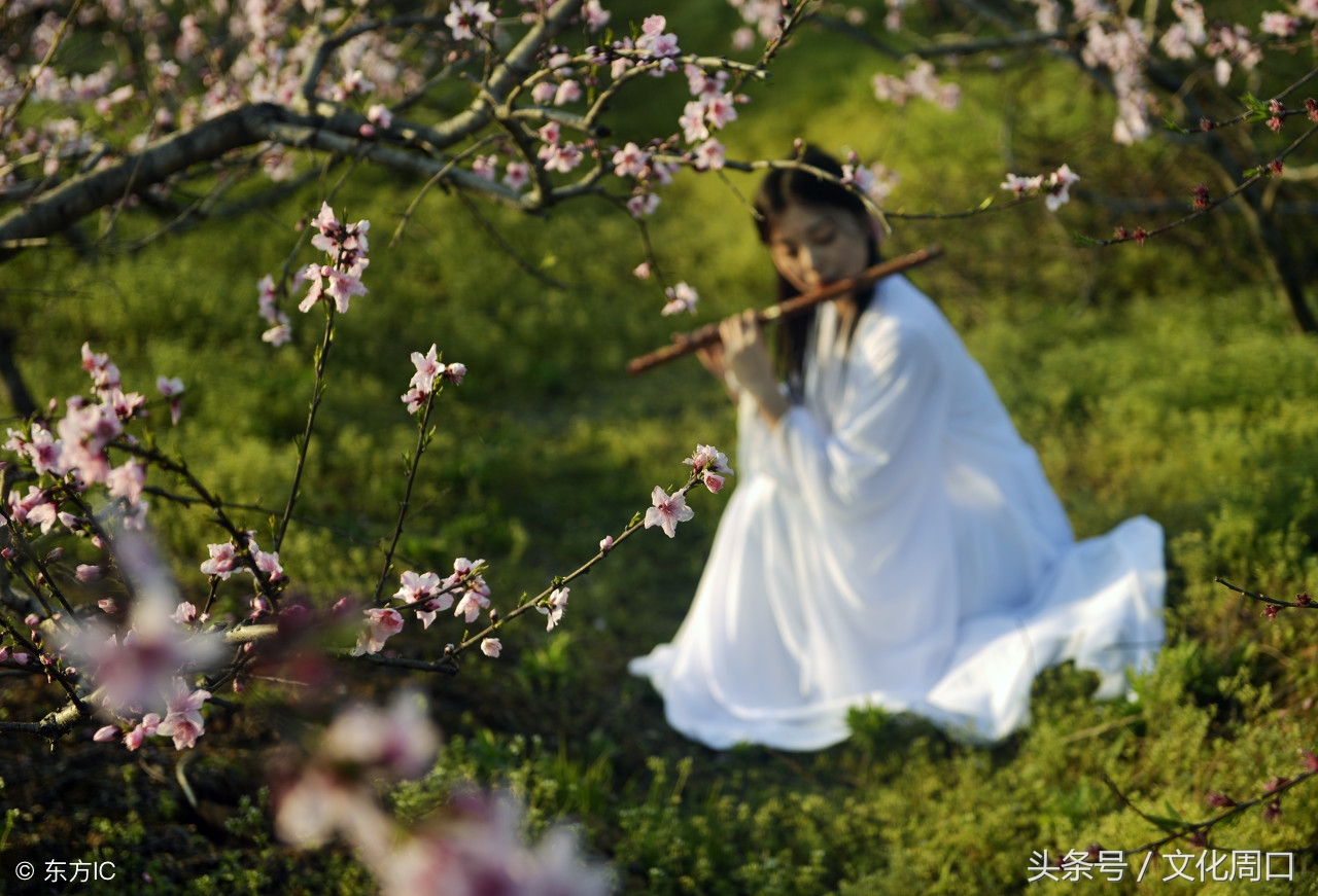 文化周口｜河南周口淮阳县曹河乡