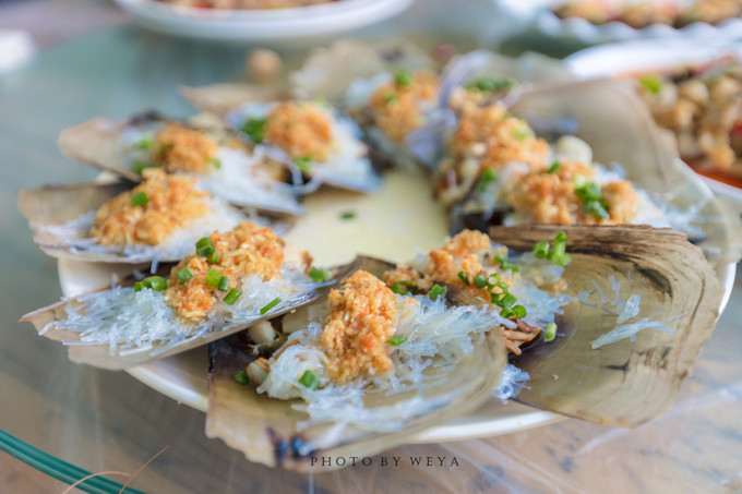 面面旅拍—诉不完千古泪，道不停三亚情，这个冬天我们掌心有太阳