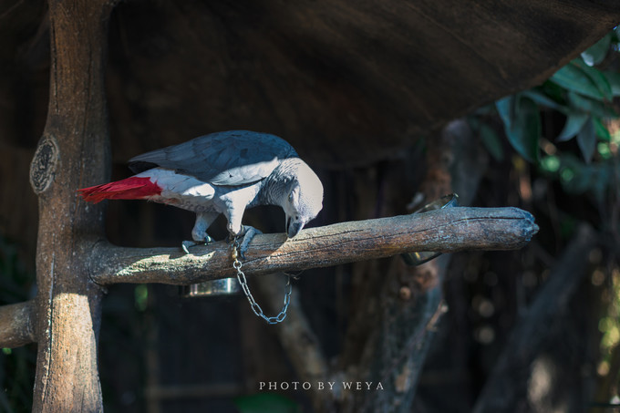 面面旅拍—诉不完千古泪，道不停三亚情，这个冬天我们掌心有太阳