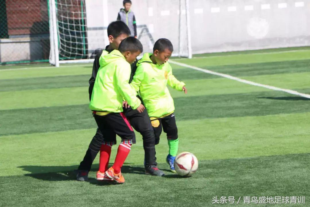 青鸟盛地足球比赛,青鸟盛地足球活动