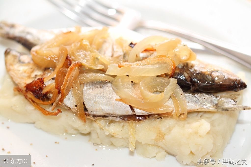 家养的鮰鱼是什么样的,鮰鱼的生活习性