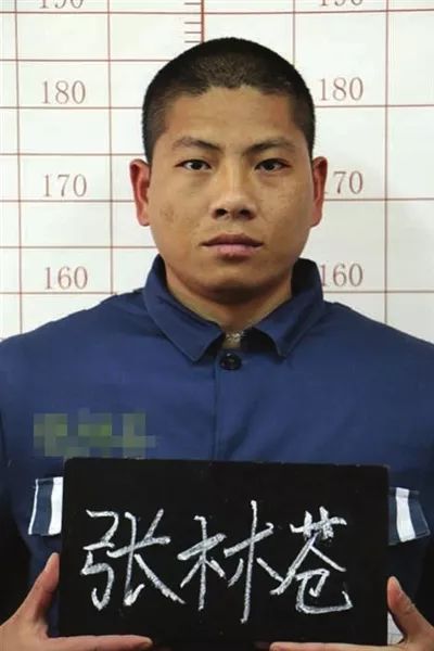 云南越狱张林苍现状,张林苍逃亡视频