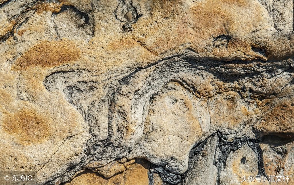 你只看到宝石光彩照人，却不知它经历了什么，没有谁能随便成功