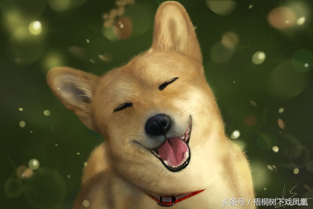 属狗的人为啥到狗年就不过狗年呢,属狗的哪年是属于土狗