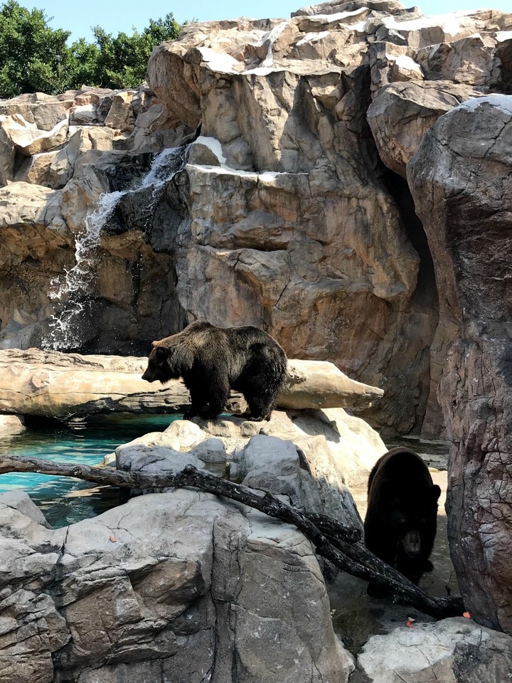 两天一晚珠海长隆旅游攻略,珠海长隆旅行一日游需要准备什么