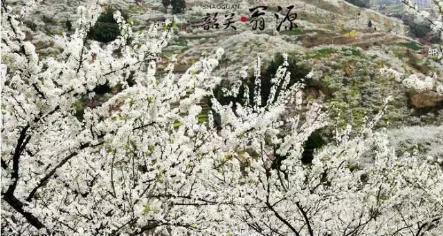 国内风景最好的旅游景点冬天,国内各地最美的十大自驾游线路