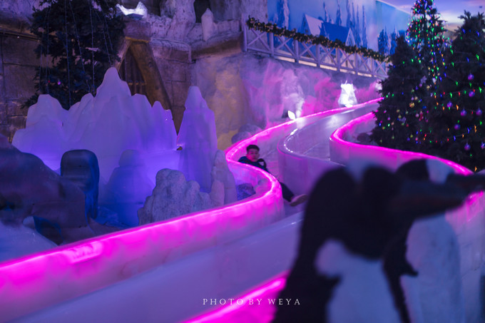 面面旅拍—诉不完千古泪，道不停三亚情，这个冬天我们掌心有太阳