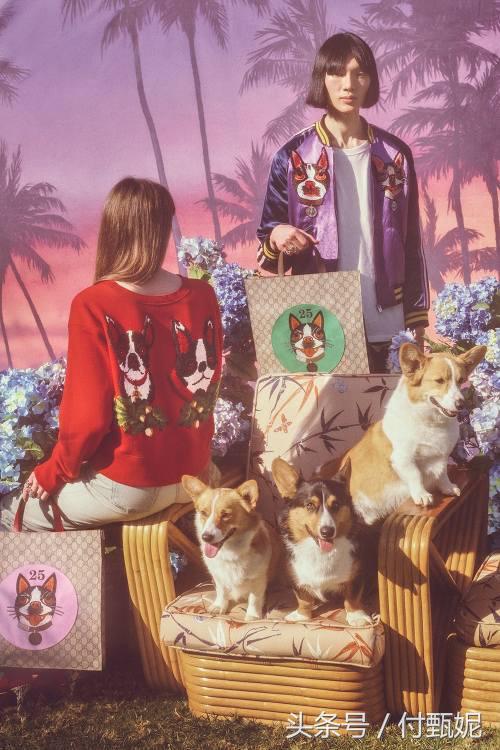 新衣新鞋过狗年——那些必入的狗年限定！