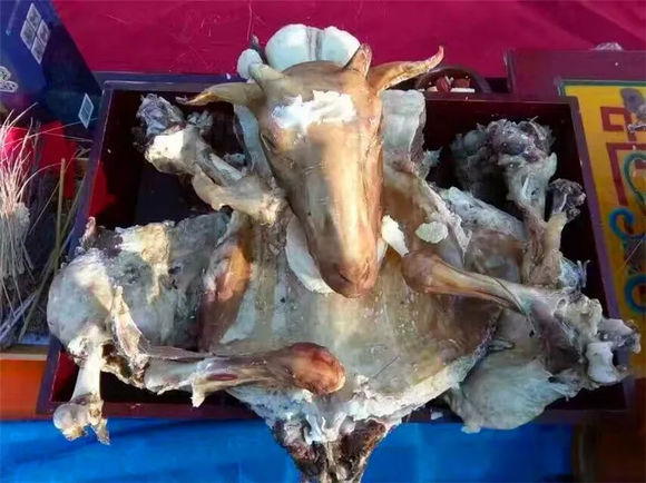 蒙古族祭火在每年的什么时候进行,四子王旗蒙古族祭火节的来历