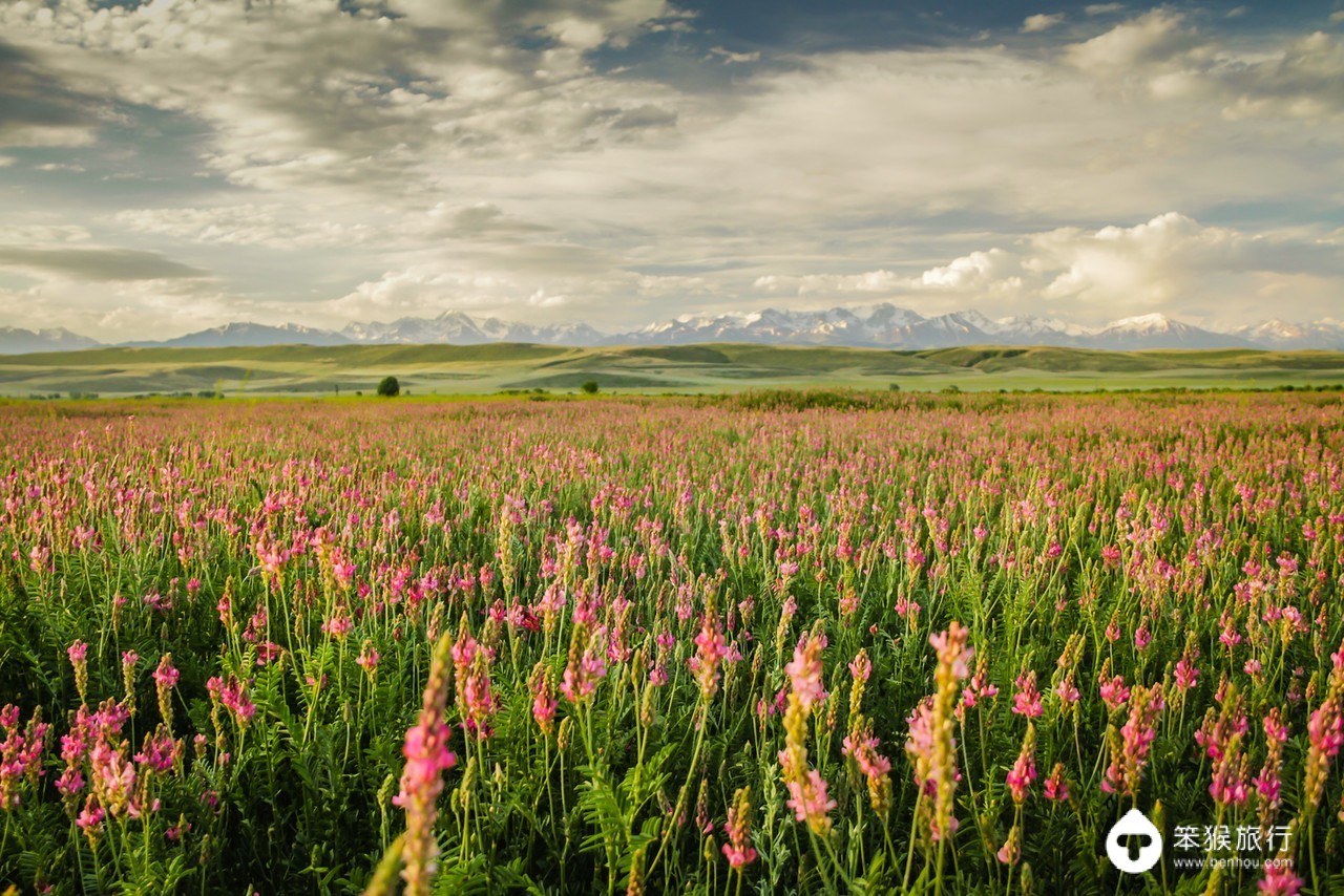 这里曾是中国领土，被誉为「中亚瑞士」，游客3天拿到电子签